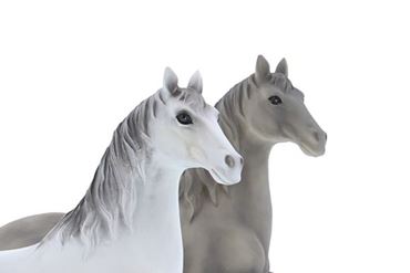 Image de la catégorie Cheval Falco