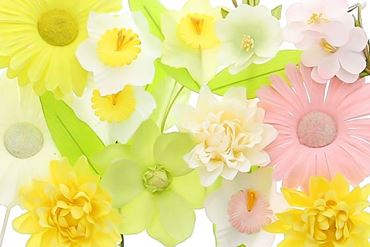 Image de la catégorie Fleurs