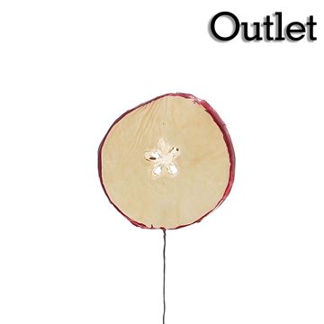 OTL Fruit 4701 appelschijfje