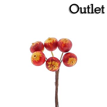 OTL Fruit stekelbes