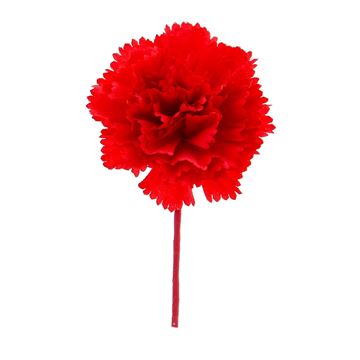 Dianthus anjer rood