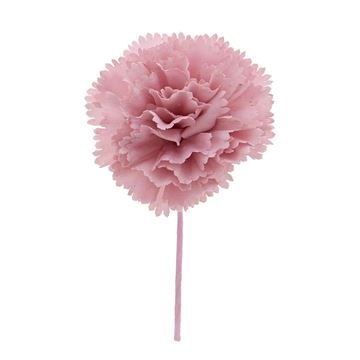 Dianthus anjer lila roze