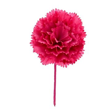 Dianthus anjer fuchsia