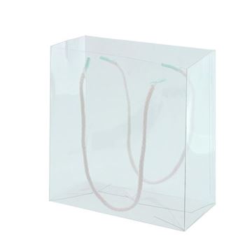 PET draagtas met touwhengsels 16 x 8 cm
