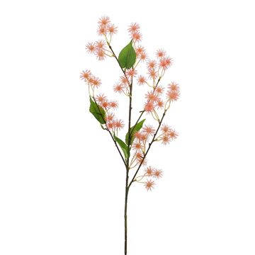 Ricinus tak met stekelige bloemen 78 cm zalm